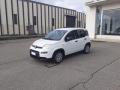 1 FIAT Panda