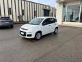 1 FIAT Panda