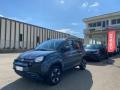 1 FIAT Panda Cross