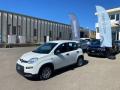 1 FIAT Panda