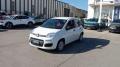 1 FIAT Panda